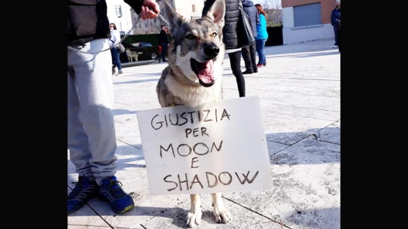  Raduno di amici per ricordare Moon e Shadow