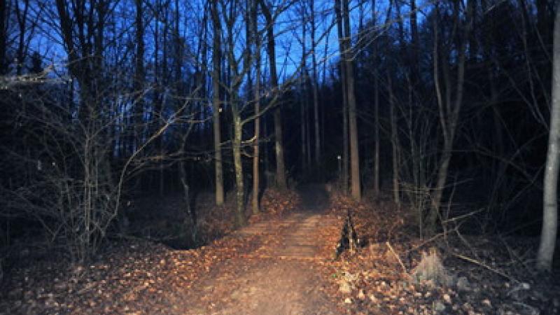 Passeggiata notturna nei Boschi di Carrega