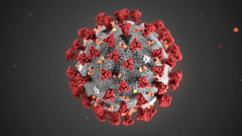 Maurizio Vescovi, incontro sul coronavirus