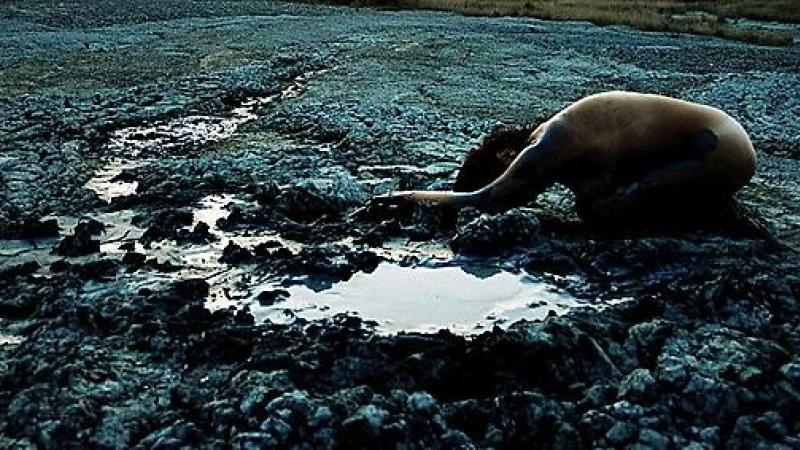 "Madre Terra": la mostra di Greta Guidotti