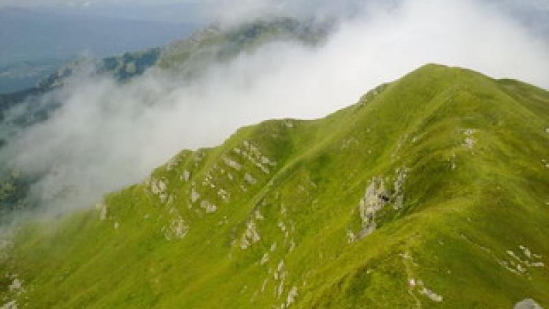 Monte Orsaro: l'abito estivo della montagna...