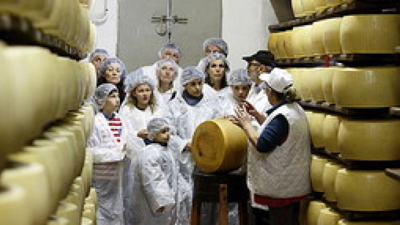 Torna "Caseifici aperti”: ecco dove