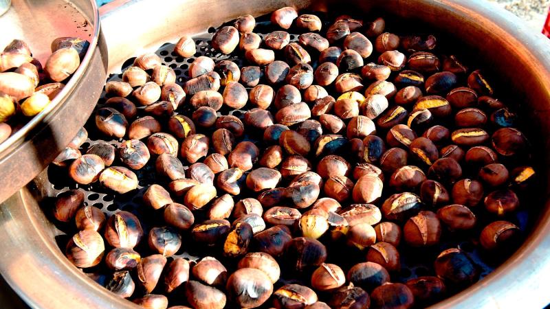 Tra castagne, bamboo e sapori di Puglia: l'agenda del sabato