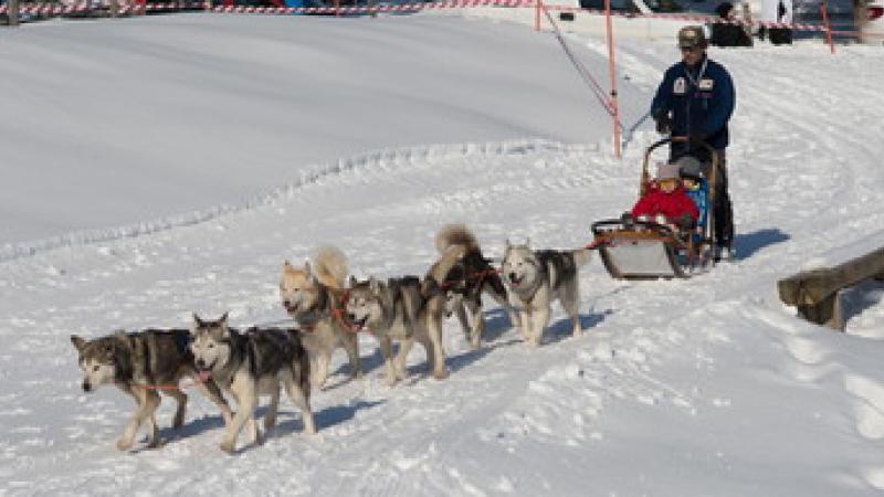 La domenica sulla neve
