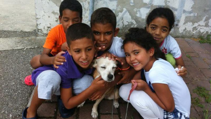 I bimbi Saharawi agli Orti del Garda