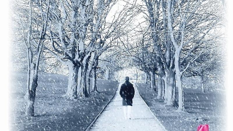 "L'uomo del freddo" di Alberto Diso