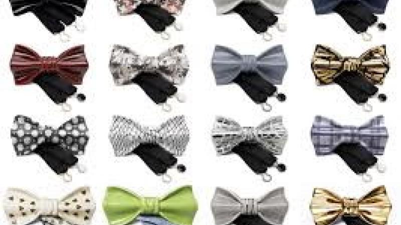 Papillon party
