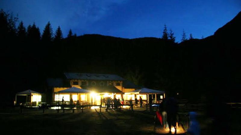 Stelle cadenti e pipistrelli