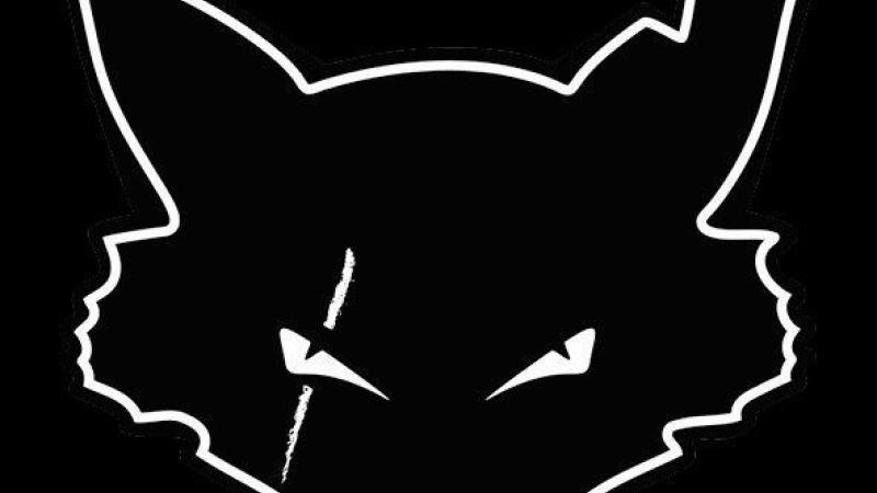 Transylvania + Megawatt in concerto