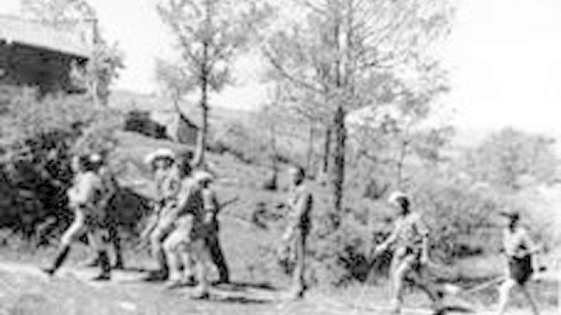 Fascismo, guerra e Resistenza nel Parmense