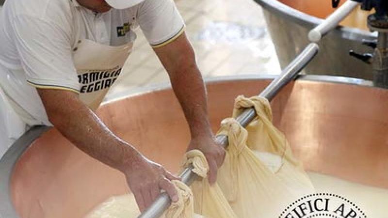 Torna  "Caseifici aperti" 