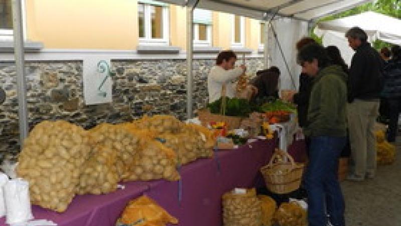 La Sagra della patata in  Val Ceno