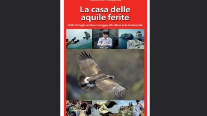 Il nuovo libro di Francesco Mezzatesta