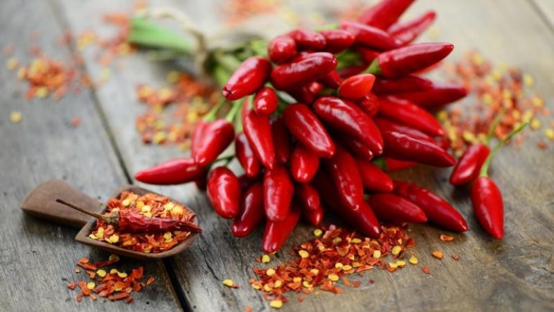 Festa del peperoncino al Podere Stuard