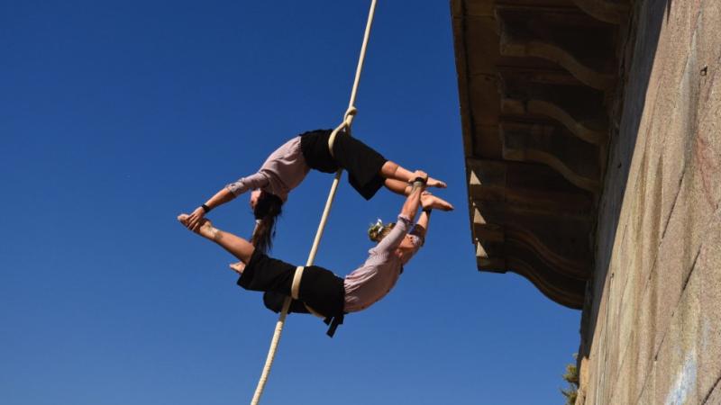 Pic Nic Circus