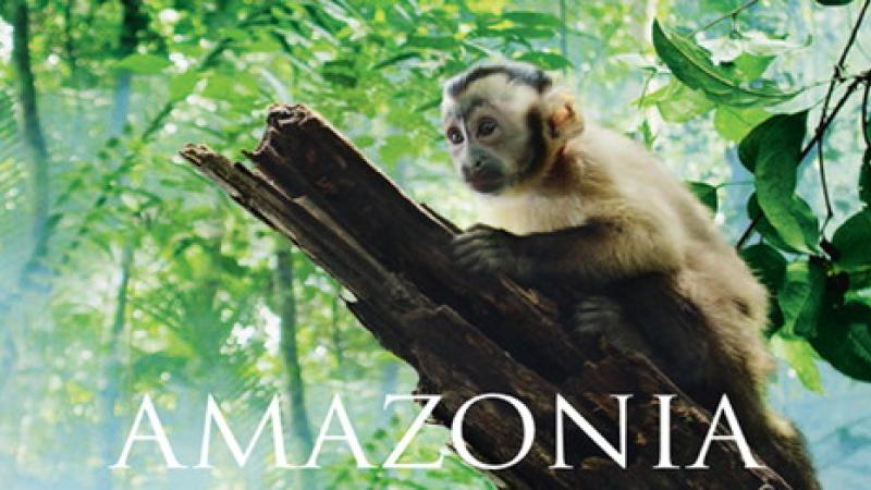 Documentario «Amazzonia  nei cinema»
