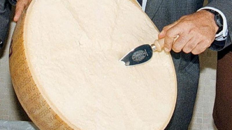 In  festa con il Parmigiano