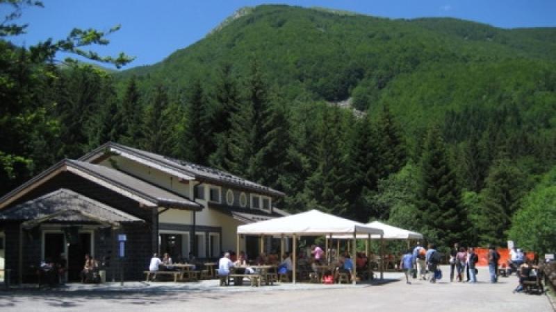 Massaggi shiatsu ed escursioni 