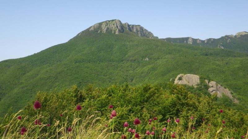 Trekking serale con cena gourmand al laghetto del Groppo