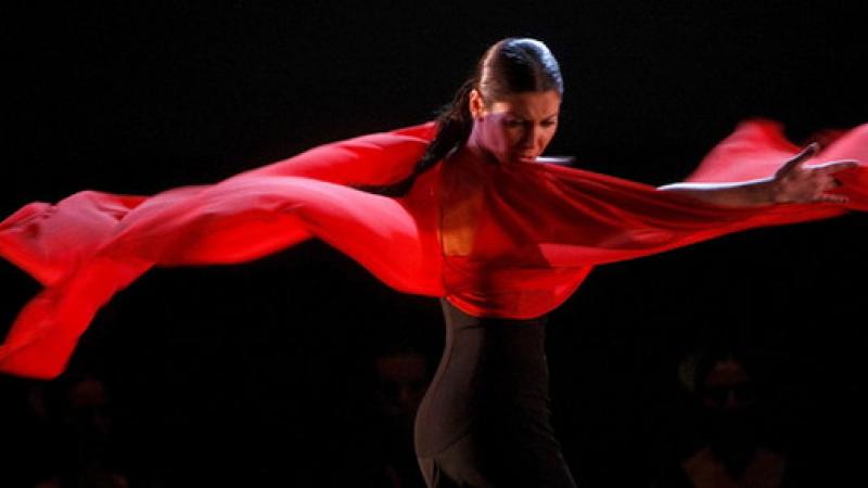Alla scoperta dell'arte del flamenco