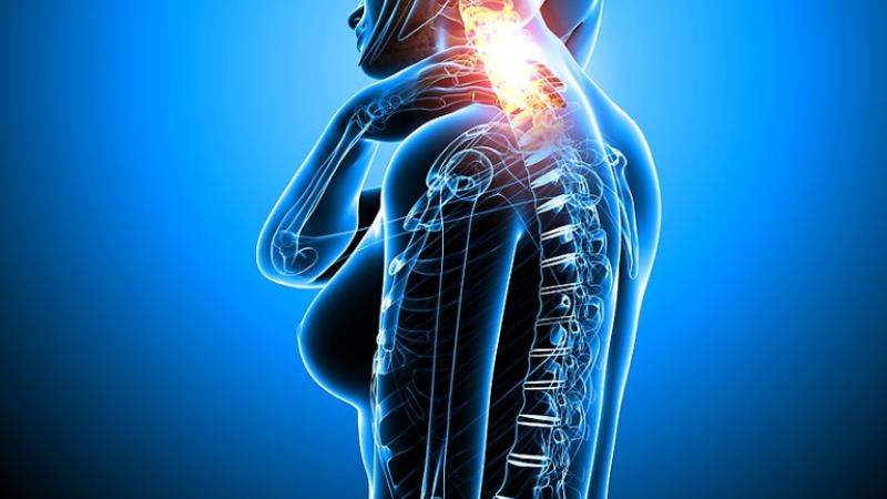 Seminario di Osteofluidica Cranio Sacrale 