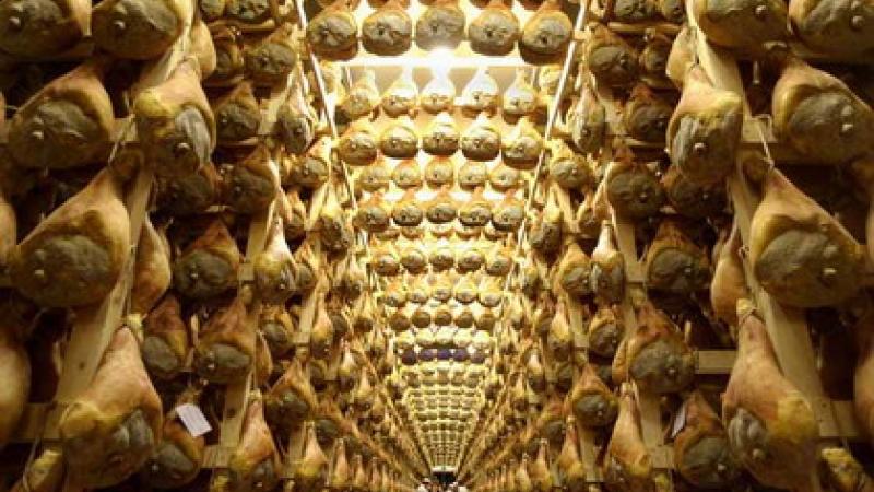 Non solo prosciutto:  Festival  con sport e cultura
