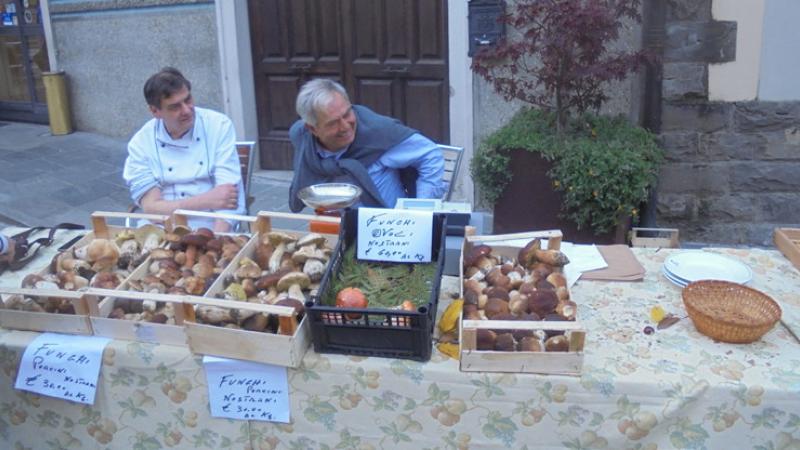 Funghi porcini, il giorno più atteso  