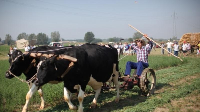 Arriva la festa del contadino