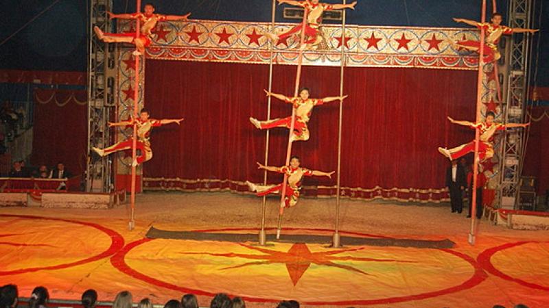 Acrobati, clown e animali: ecco il circo di Mosca