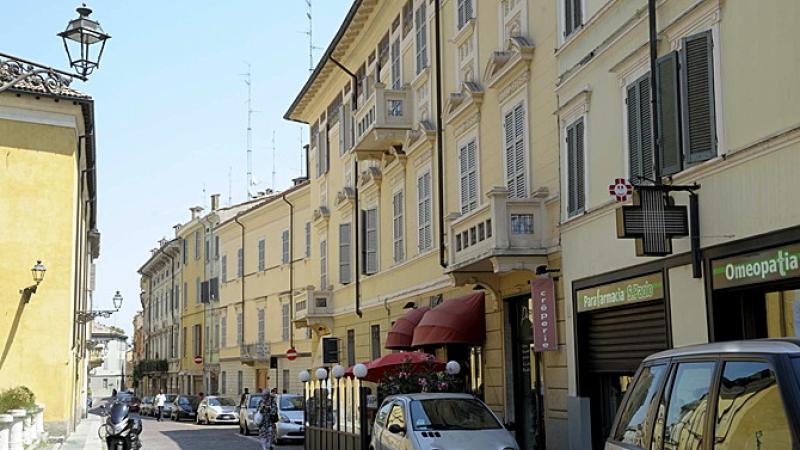 Nel bosco di tutte le storie