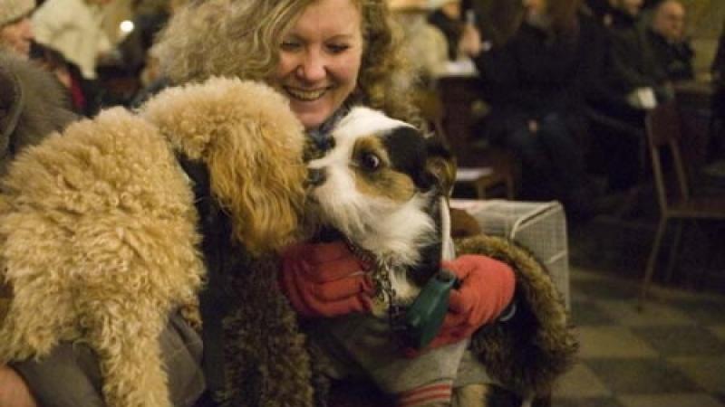 Messa e benedizione  degli animali