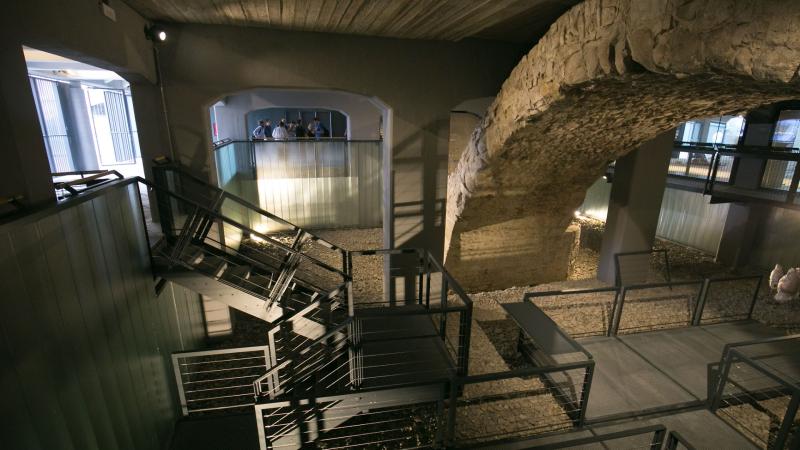 Incontro con la docente  Schettino