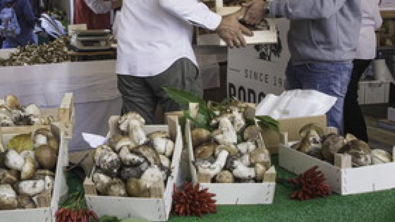Dai funghi ad Albareto alle specialità Usa a Sorbolo: l'agenda del sabato