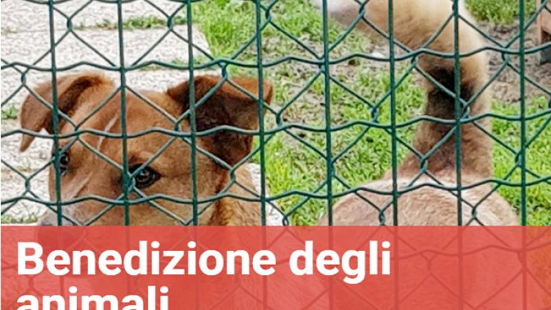 Benedizione davanti alla casa degli animali di Parma