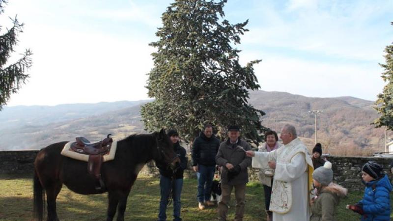 Bardi, Bore, Varsi: Festa di Sant'Antonio 