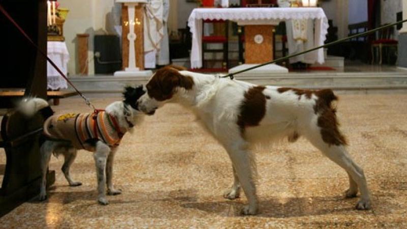 Borghetto in festa per gli animali