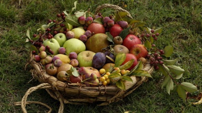 Il sidro di Corniglio al Rural Market 