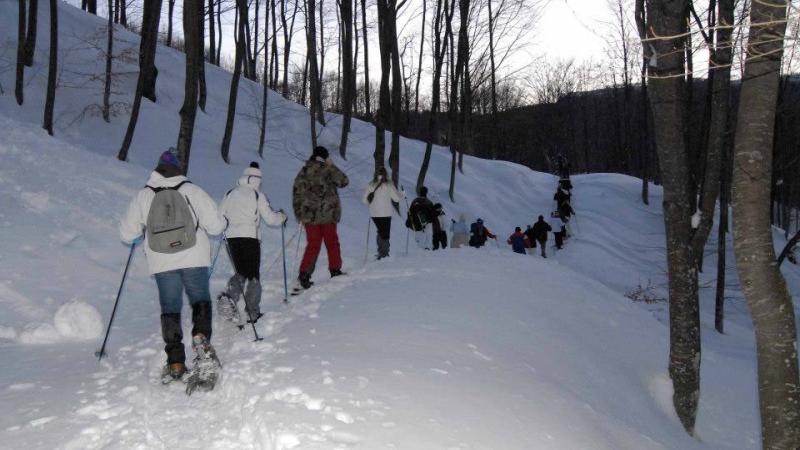 Escursionisti domenica in  Val Cedra