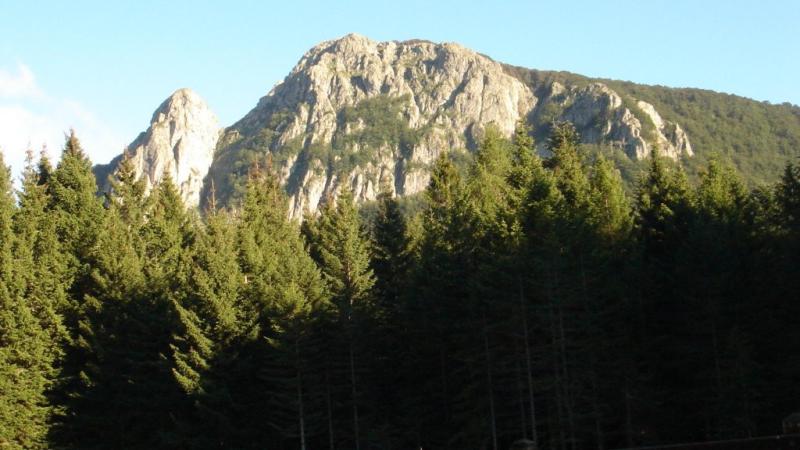 Alla ricerca delle fioriture sul Monte Penna