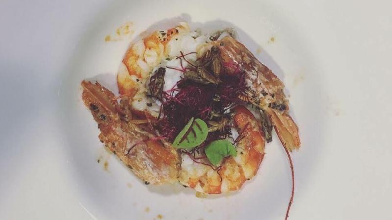 L'insetto nel piatto: all'International Food Festival showcooking con grilli e camole