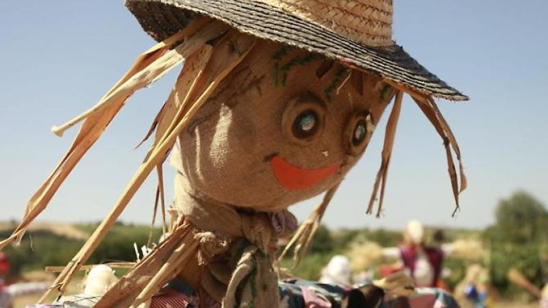 Pro loco, festa e musica a Case Passeri
