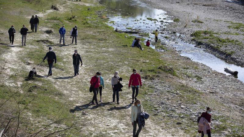 Nella Parma alla scoperta delle piante