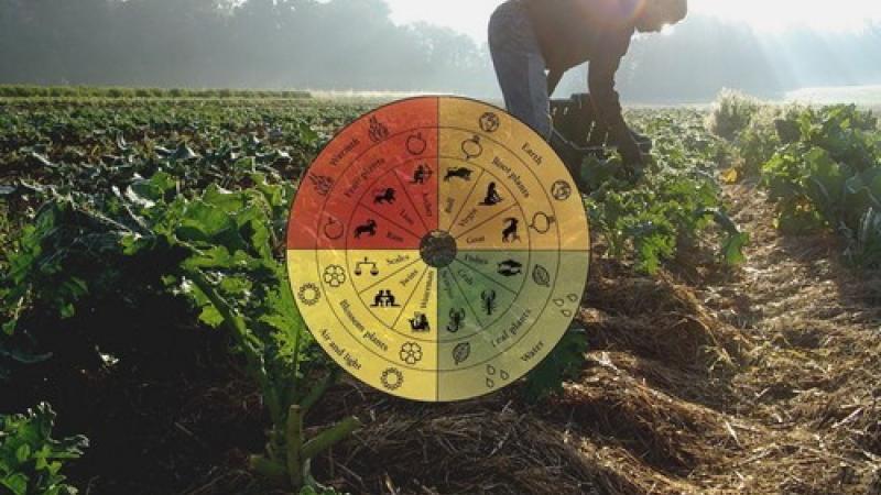 L'orto biologico