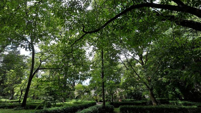 Orto Botanico: apertura straordinaria  al profumo di Violetta di Parma
