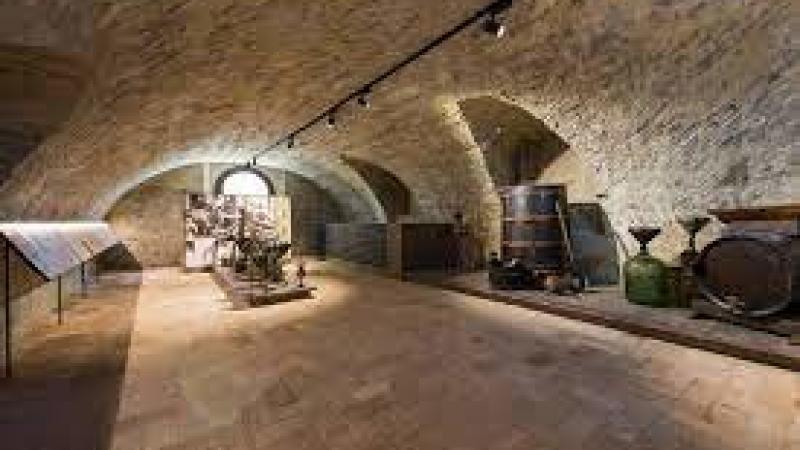 Un libro sulla Malvasia di Parma