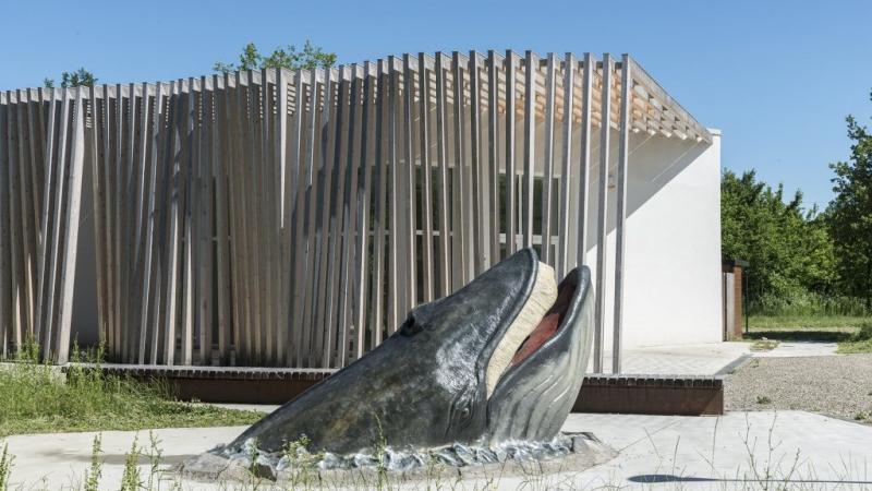 Al MuMab per costruire la casa delle api