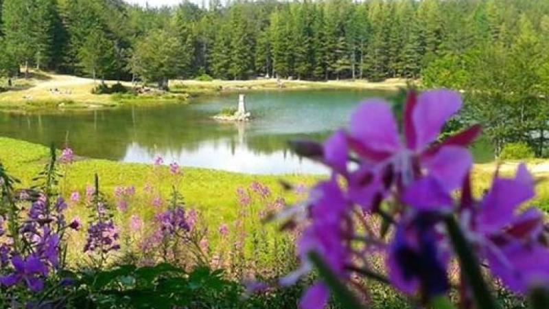 Appennino e sapori al Ventasso