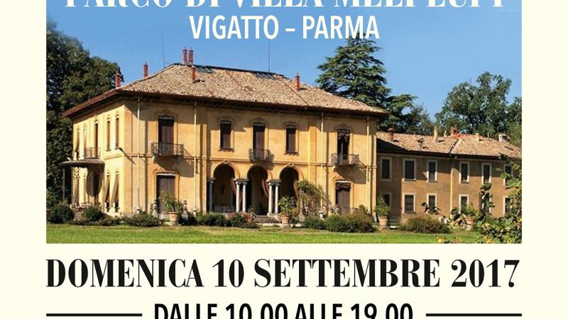 Benessere in Villa: giornata dedicata al benessere 