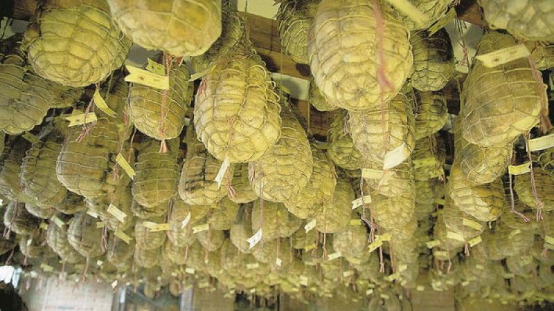 A Zibello   torna in scena il culatello 
