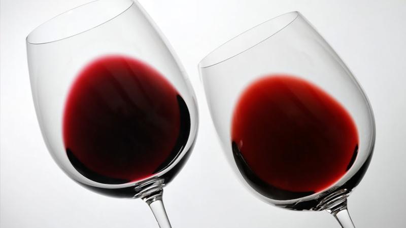 Degustazione vini di Puglia